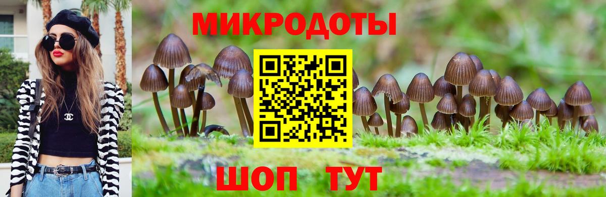 Галлюциногенные грибы Magic Shrooms Грозный