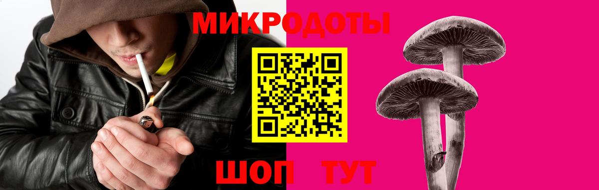 Грозный  Псилоцибиновые грибы мухоморы  Вход с VPN 